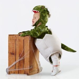 Baby egg Dino costume